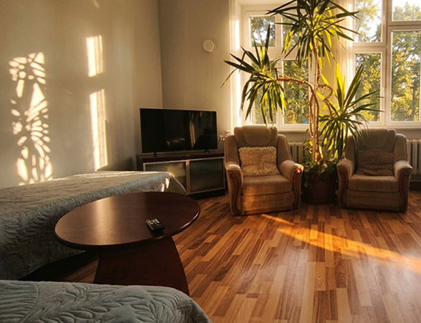 Seating area in the Family Suite at Hostel Lõuna with a palm tree, flat-screen TV, two extra beds, and a view of the park and playground.